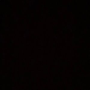 Meet your Posher, Noah